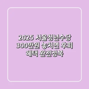 2025 서울청년수당, 300만원 놓치면 후회! 혜택 완전정복