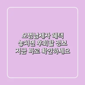 #모범납세자 혜택: 놓치면 후회할 정보, 지금 바로 확인하세요!
