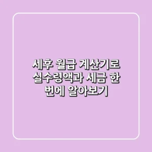 세후 월급 계산기로 실수령액과 세금 한 번에 알아보기