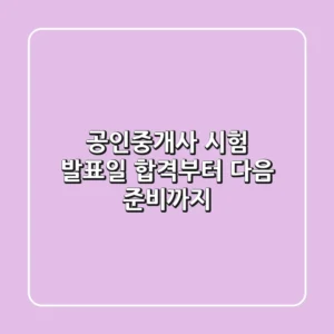공인중개사 시험 발표일: 합격부터 다음 준비까지