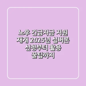 노후 긴급자금 지원 재개! 2025년 실버론 신청부터 활용 꿀팁까지