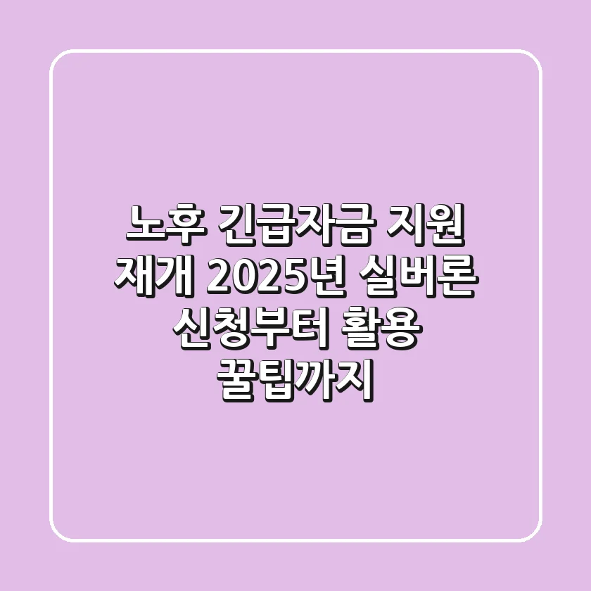 노후 긴급자금 지원 재개! 2025년 실버론 신청부터 활용 꿀팁까지