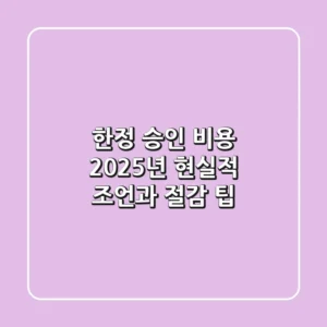 한정 승인 비용, 2025년 현실적 조언과 절감 팁