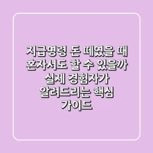 지급명령, 돈 떼였을 때 혼자서도 할 수 있을까? 실제 경험자가 알려드리는 핵심 가이드