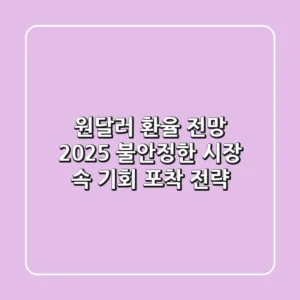원달러 환율 전망 2025: 불안정한 시장 속 기회 포착 전략