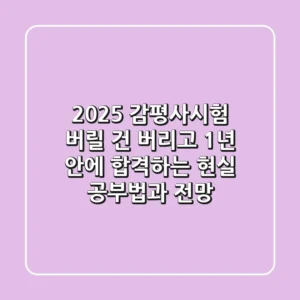 2025 감평사시험, ‘버릴 건 버리고’ 1년 안에 합격하는 현실 공부법과 전망