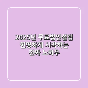 2025년 무료법인설립, 현명하게 시작하는 진짜 노하우