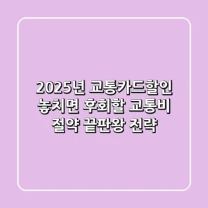 2025년 교통카드할인, 놓치면 후회할 교통비 절약 끝판왕 전략