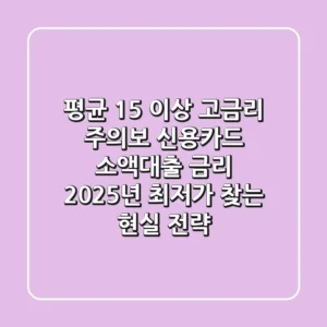 "평균 15% 이상 고금리 주의보", 신용카드 소액대출 금리 2025년 최저가 찾는 현실 전략