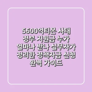"5600억티몬" 사태, 정부 지원금 누가 얼마나 받나? 실무자가 정리한 정책자금 신청 완벽 가이드