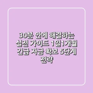 "30분" 안에 해결하는 실전 가이드: 1일~1개월 긴급 자금 확보 5단계 전략