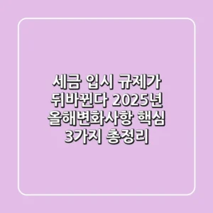 "세금, 입시, 규제가 뒤바뀐다", 2025년 올해변화사항 핵심 3가지 총정리