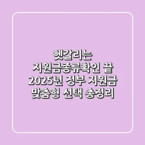 "헷갈리는 지원금종류확인 끝!", 2025년 정부 지원금 맞춤형 선택 총정리