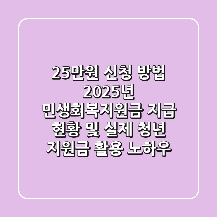 "25만원 신청 방법", 2025년 민생회복지원금 지급 현황 및 실제 청년 지원금 활용 노하우