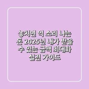"놓치면 억 소리 나는 돈?", 2025년 내가 받을 수 있는 금액 최대화 실전 가이드