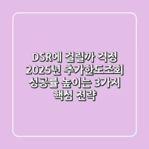 "DSR에 걸릴까 걱정?", 2025년 추가한도조회 성공률 높이는 3가지 핵심 전략