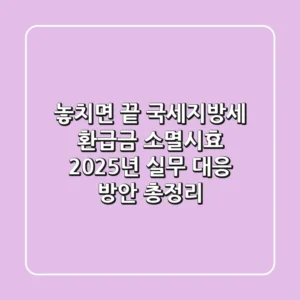 "놓치면 끝" 국세·지방세 환급금 소멸시효, 2025년 실무 대응 방안 총정리